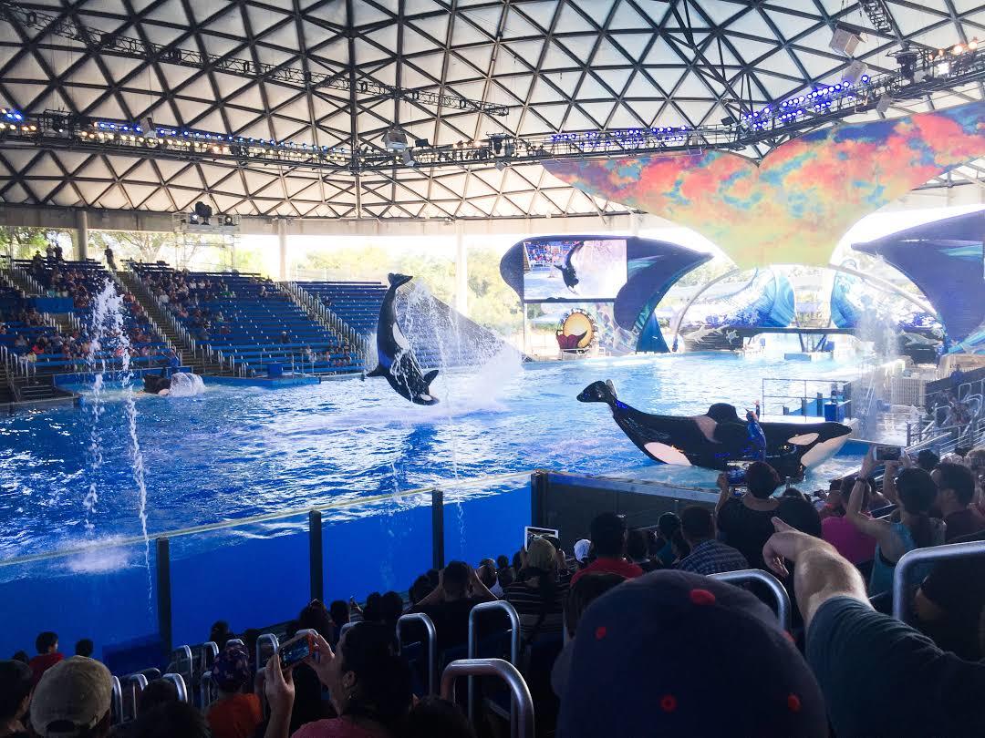 SeaWorld San Antonio